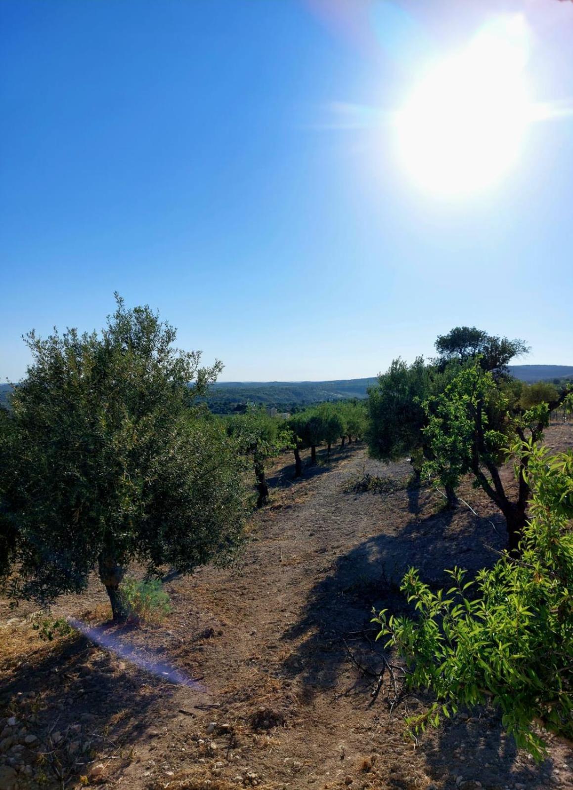 "Bnb Noto" - Charming Tiny House מראה חיצוני תמונה